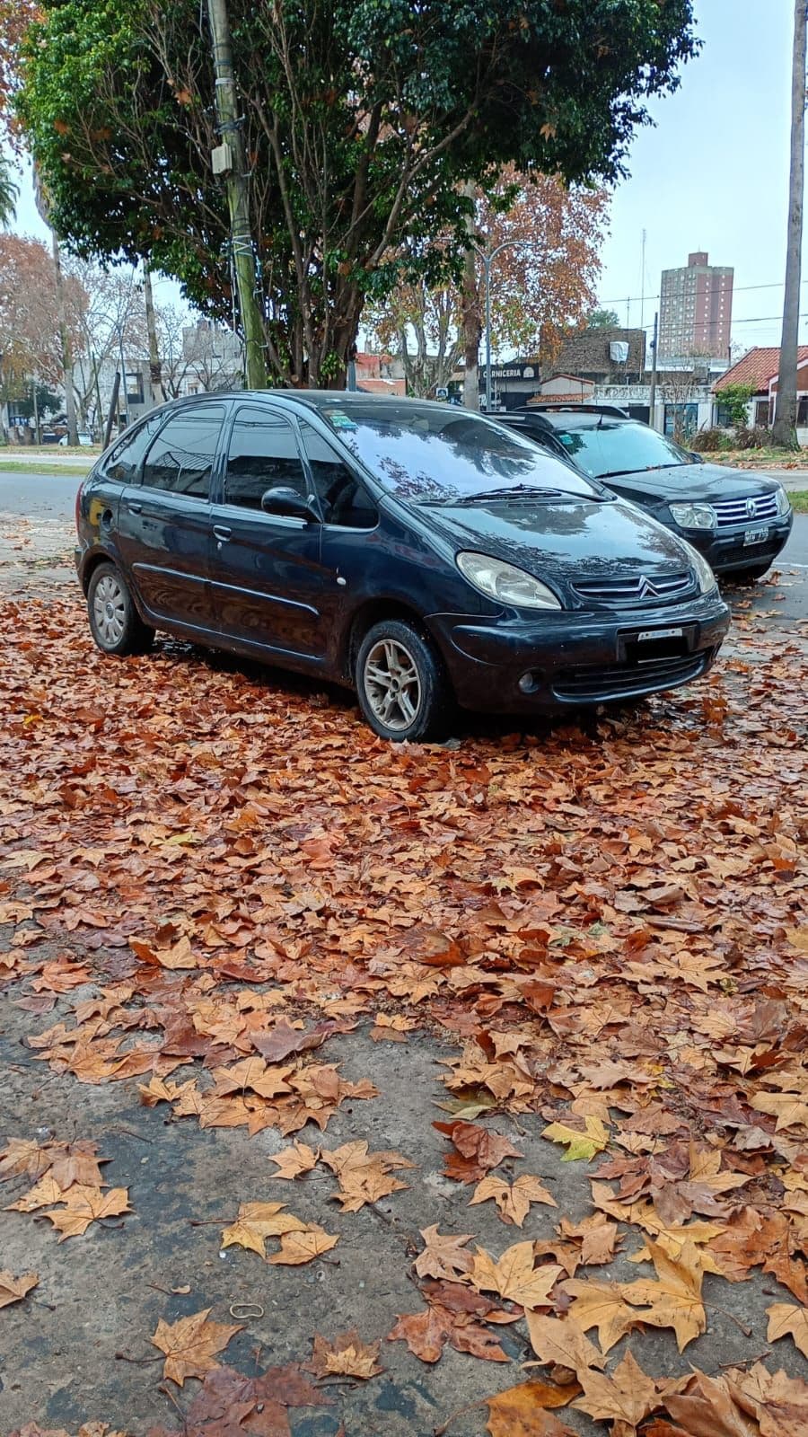 Foto de CITROEN PICASSO 2.0